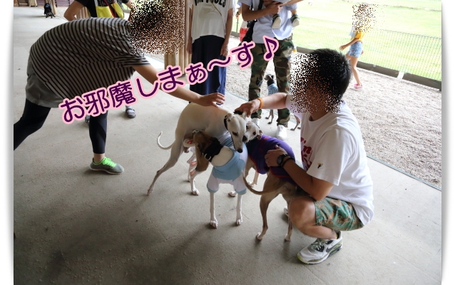 e0100007_2201490.jpg