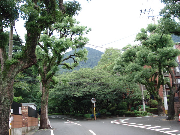 霧かかり霧の晴れ行く‐樹城(じゅじょう)黒原(くろばる)_d0325708_2022167.jpg