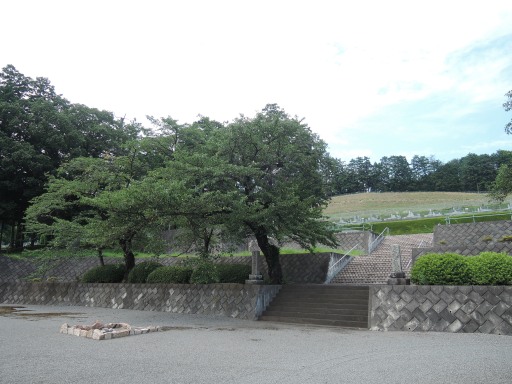 金子十郎家忠館 そこに城があるから