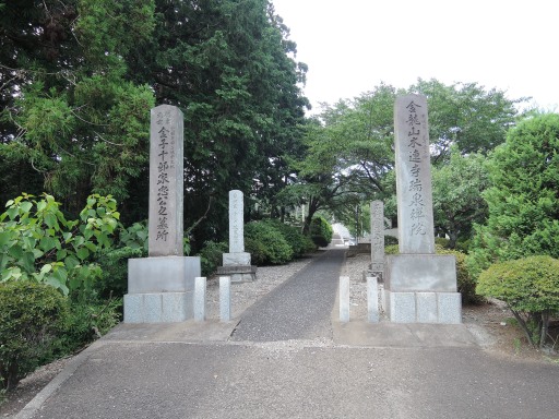 金子十郎家忠館 そこに城があるから