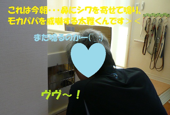 f0121712_15411168.jpg