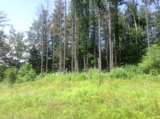 c0173813_11282095.jpg