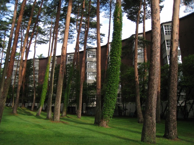 e0117318_17432463.jpg