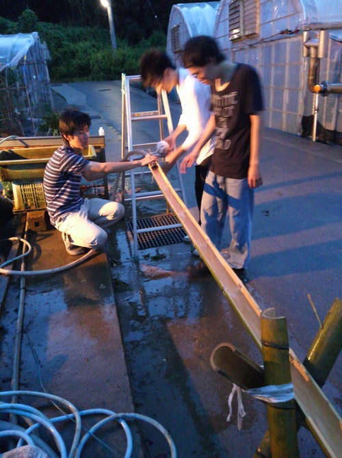 f0142721_17535072.jpg