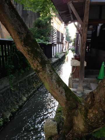 a0026127_1873464.jpg