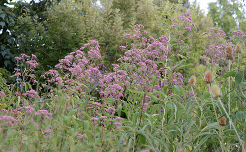 c0107129_111780.jpg