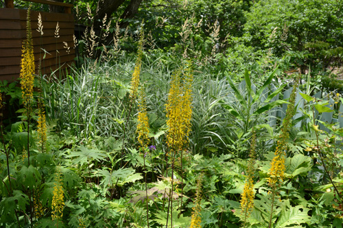 c0107129_205598.jpg