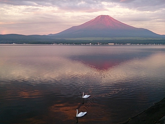 c0201929_08142099.jpg