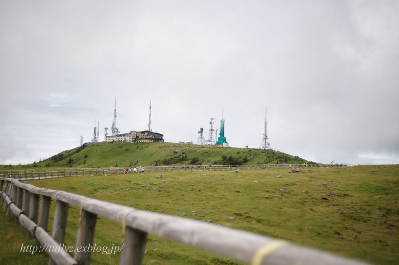 d0108132_2022577.jpg