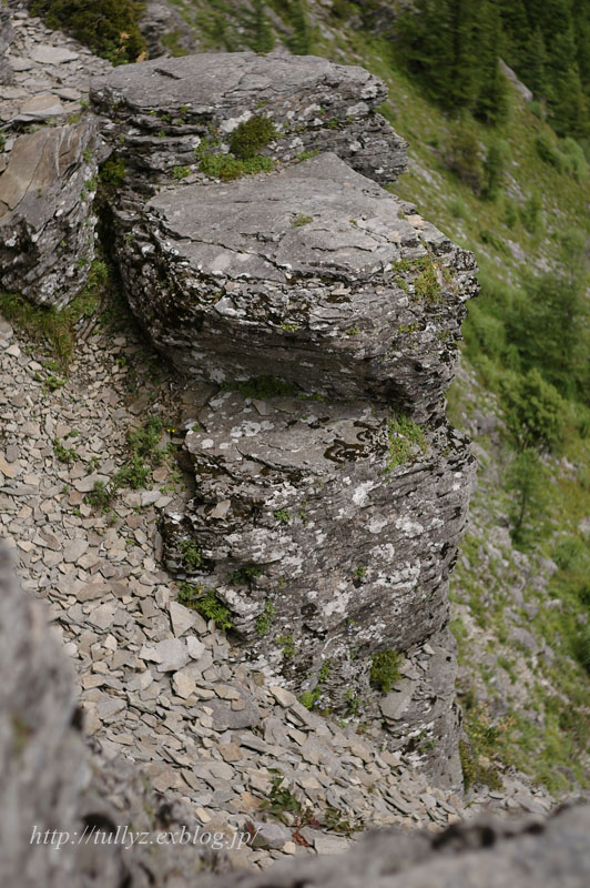 d0108132_20345824.jpg