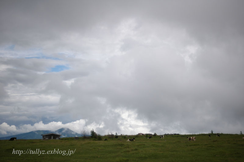 d0108132_20421566.jpg