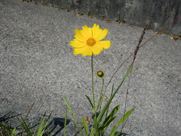 b0197735_23281171.jpg
