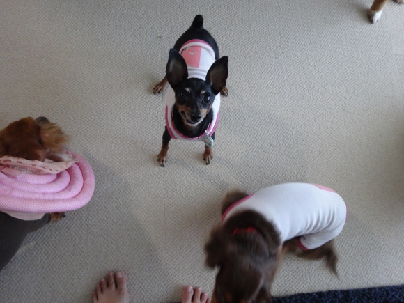 c0323143_18351670.jpg