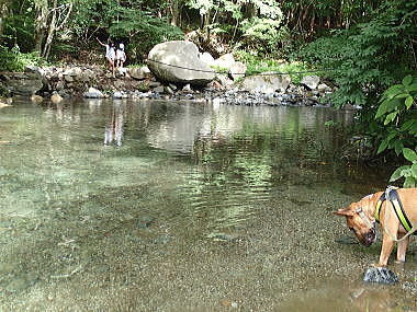 f0094843_12293679.jpg