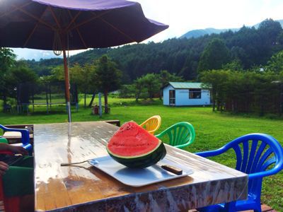 今更ですが、夏到来!_e0248949_2347144.jpg