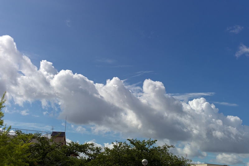 f0323351_12275625.jpg