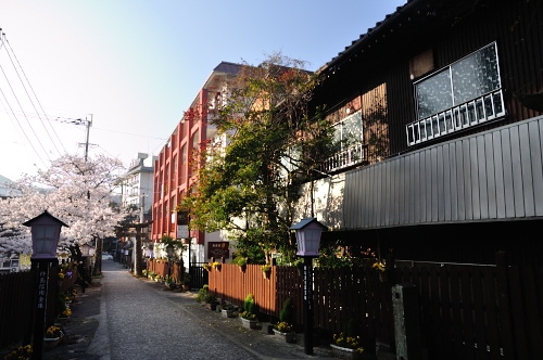 佐賀の旅 ‐嬉野温泉・波佐見‐_a0134952_23274345.jpg