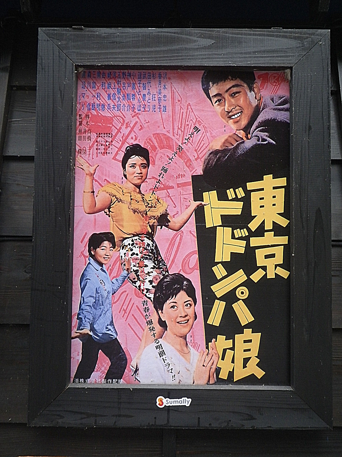 東京ドドンパ娘 おざっちの笛吹き日記 東京ドドンパ娘 おざっちの笛吹き日記