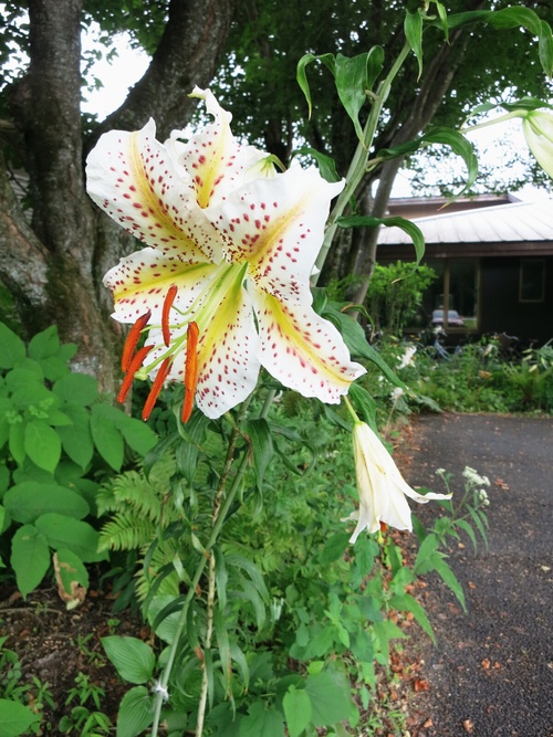 f0236260_16361067.jpg