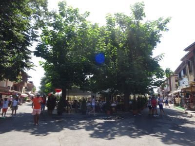 d0224362_2056939.jpg