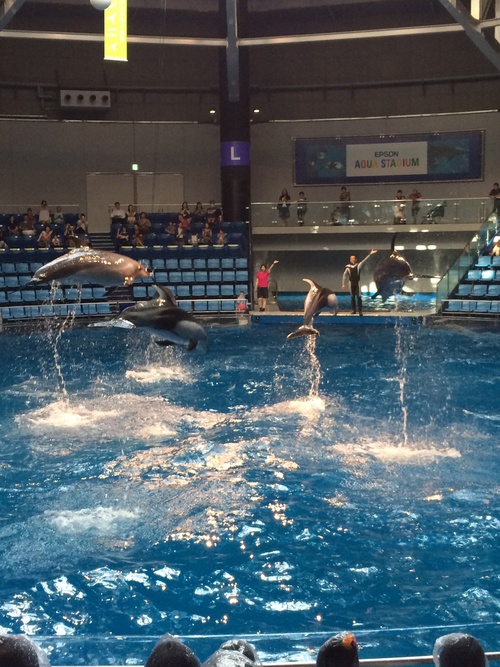 水族館・・続き_d0318965_11283340.jpg