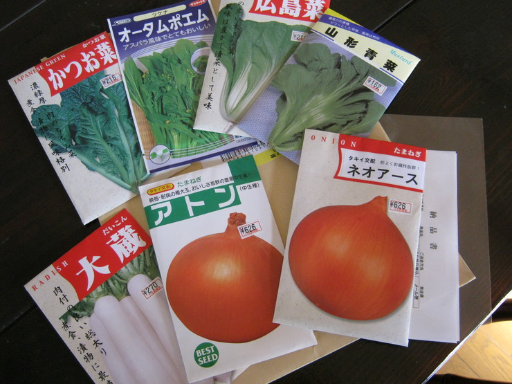 秋蒔きの種 野菜tukuri 秋蒔きの種 野菜tukuri