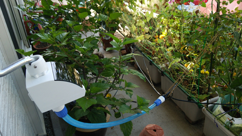 c0064678_1149321.jpg