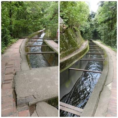 a0199979_179411.jpg