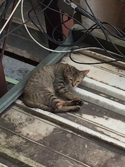 今日はうつぶせ総復習_a0191183_165881.jpg