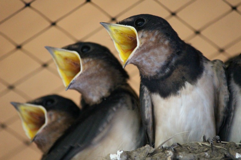 a0127090_22572668.jpg