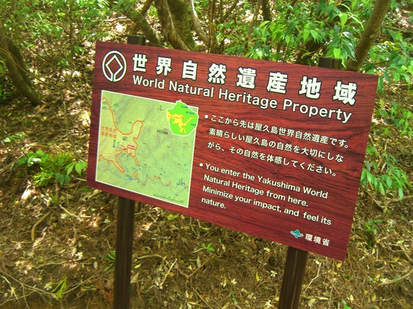 d0033492_1650331.jpg