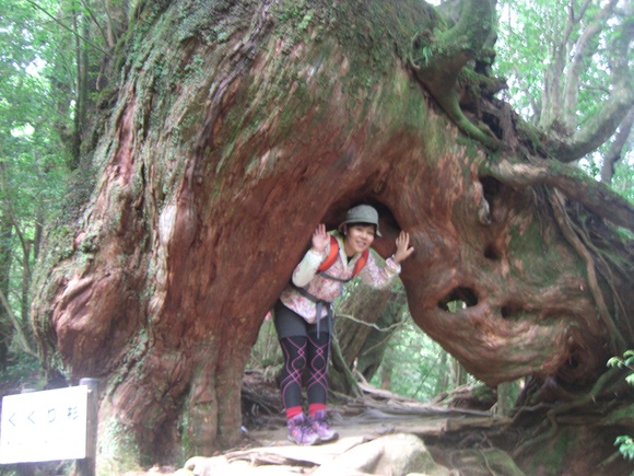 Yaku Island in Kagoshima Pref ②_d0033492_1721592.jpg