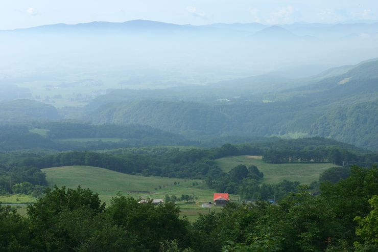 b0220099_1234492.jpg