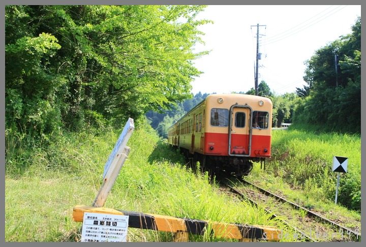 小湊鉄道_c0129300_13263450.jpg