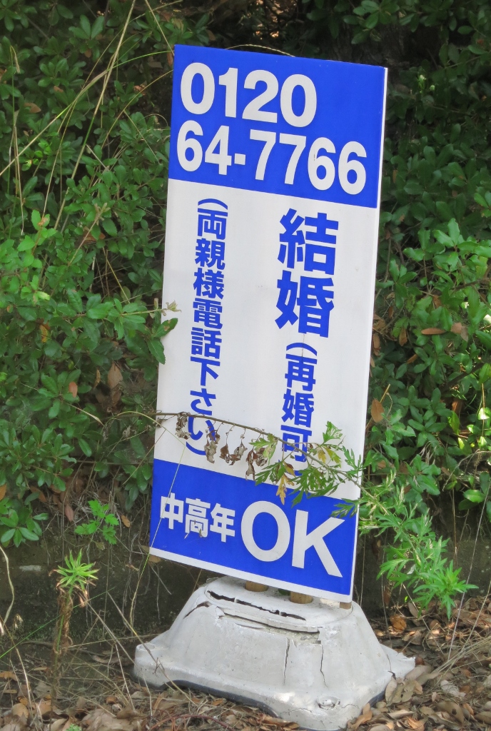 結婚者紹介の看板?_b0083801_21553933.jpg