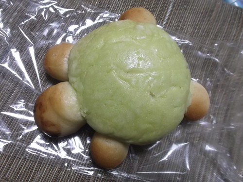 B&B カメ_f0076001_21533649.jpg