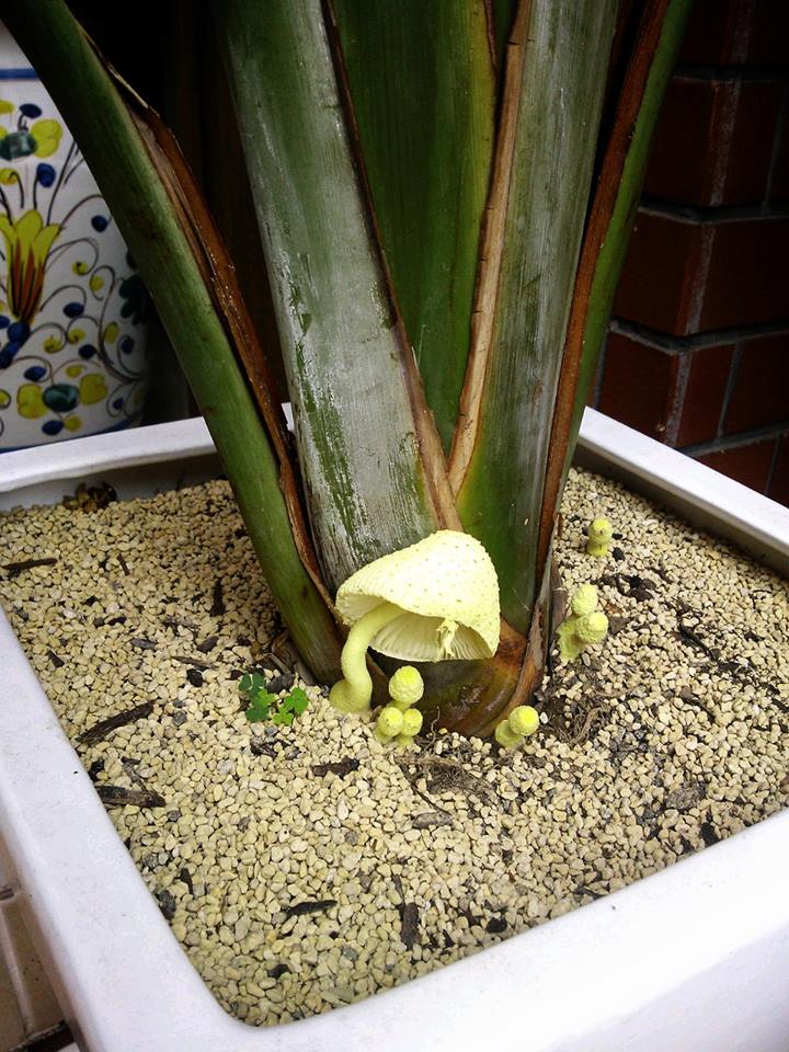 f0276708_17152030.jpg