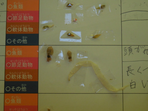 科学実験教室「チリメンモンスターをさがせ」_e0131910_23490248.jpg