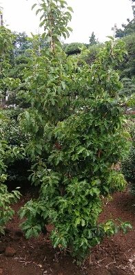 f0329515_0101235.jpg