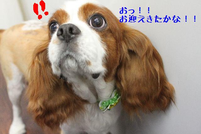 焼ける～！！！_b0130018_18143834.jpg