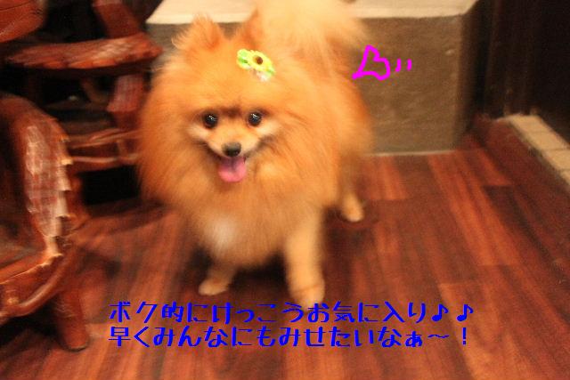 焼ける～！！！_b0130018_1862932.jpg
