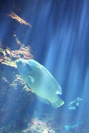 f0162319_00393.jpg