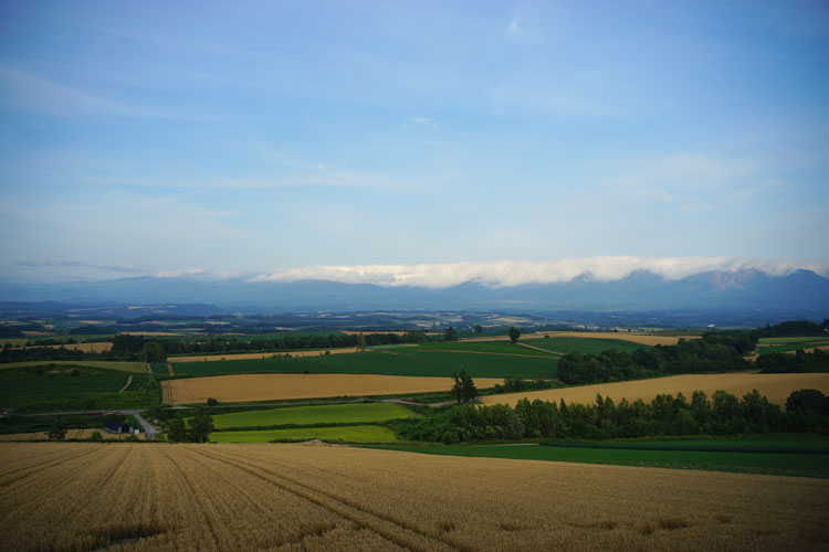 メイヤーオプティーク プリマゴン35mmf4.5 メイヤーオプティーク プリマゴン35mmf4.5 メイヤーオプティーク