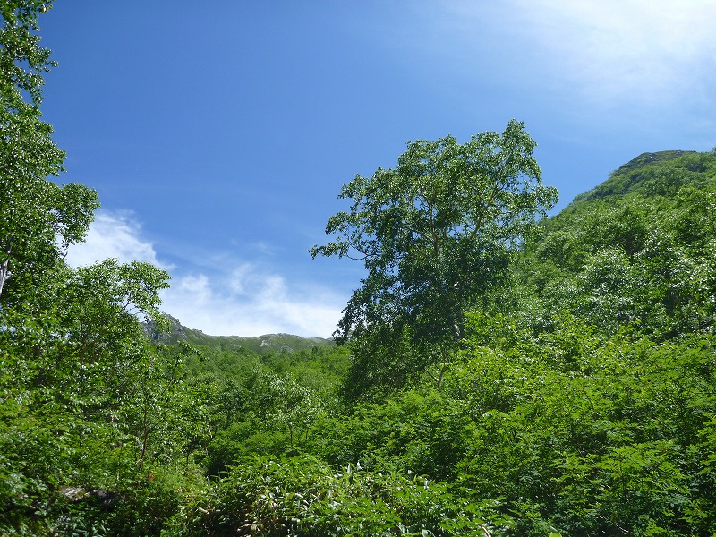 e0284726_6122139.jpg
