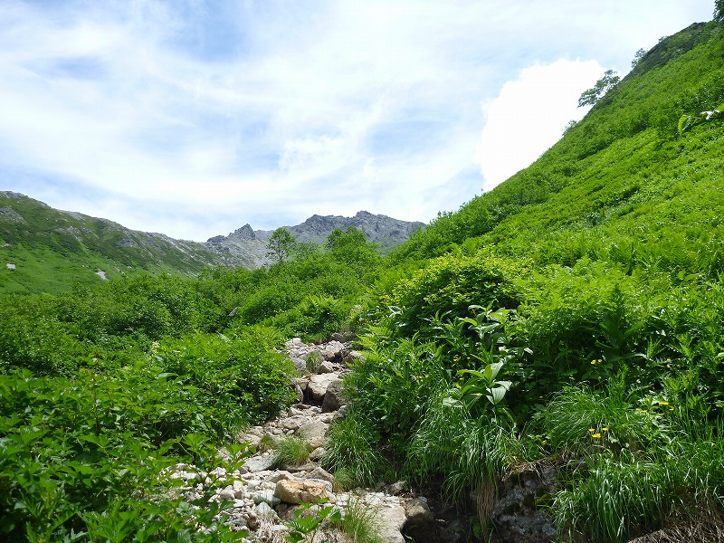 e0284726_6123341.jpg