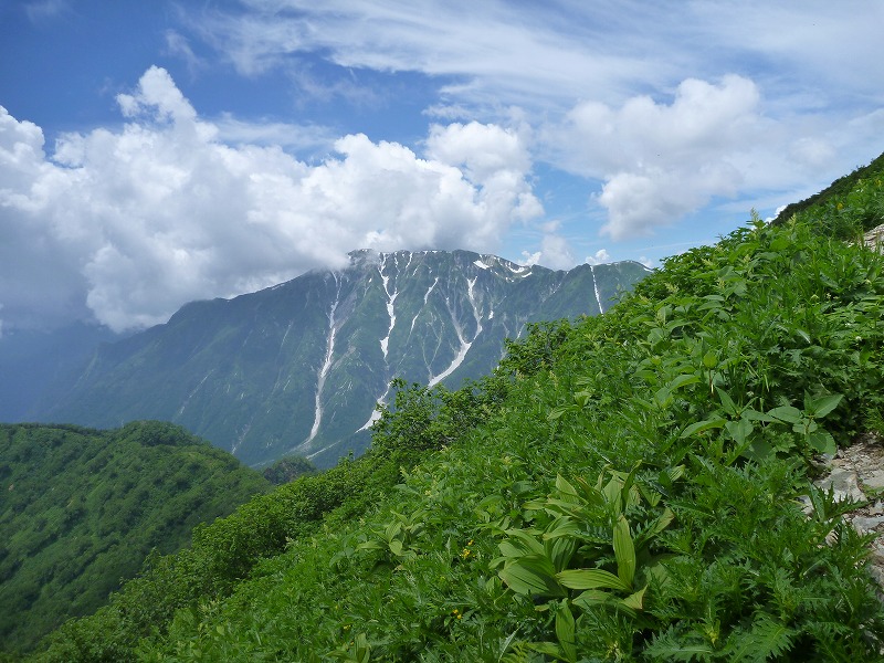 e0284726_6132931.jpg