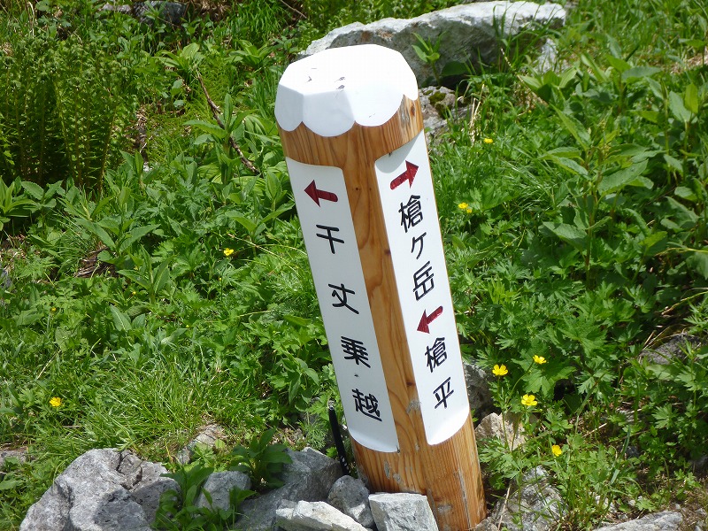 e0284726_613967.jpg