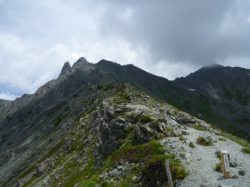 e0284726_6142740.jpg