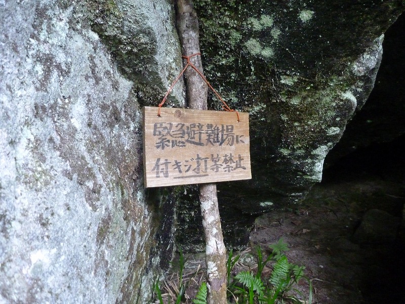 e0284726_691655.jpg