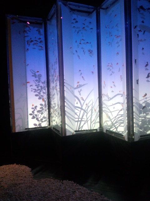 c0242130_20554.jpg